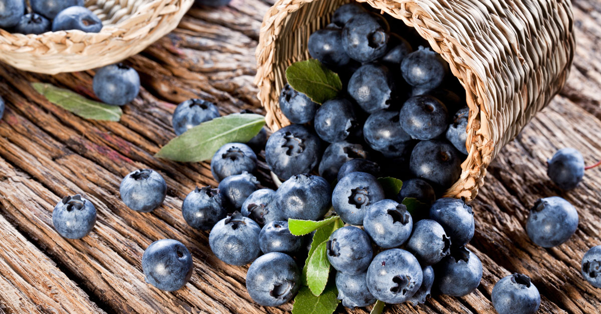 Paras tapa puhdistaa mustikat torjunta-aineista ja estää homeen muodostuminen