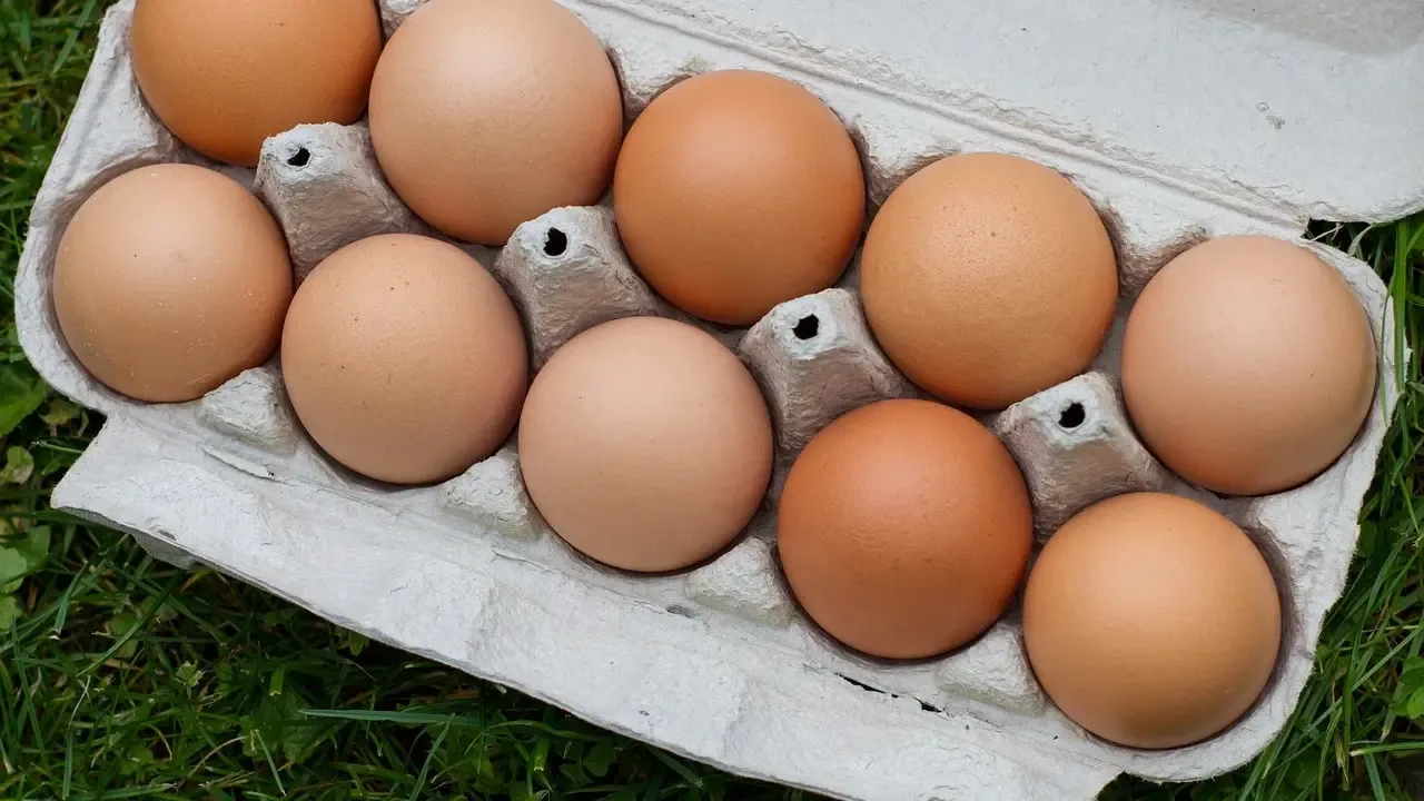 Älä osta munia, joiden kuoressa on nämä kaksi sanaa! Maatalousministeriö opettaa sinulle, kuinka erotat helposti luomumunat munista, jotka ovat peräisin häkeissä kasvatetuista kanoista.