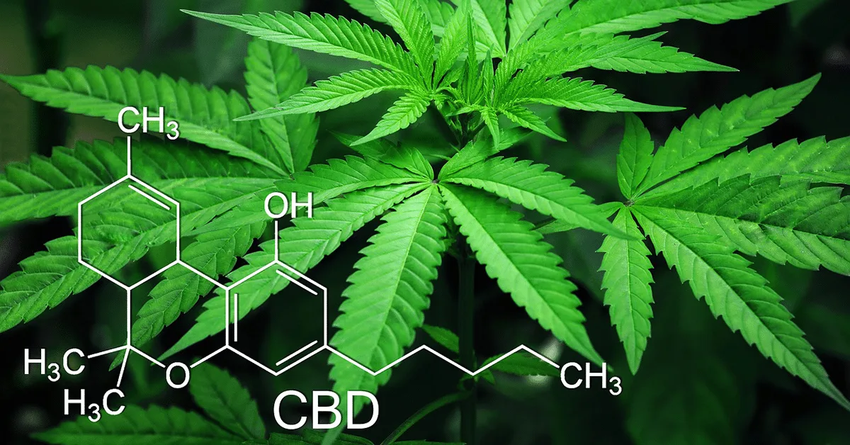 Kongressi kieltää delta-8:n ja THC:n uuden kannabislain mukaisesti