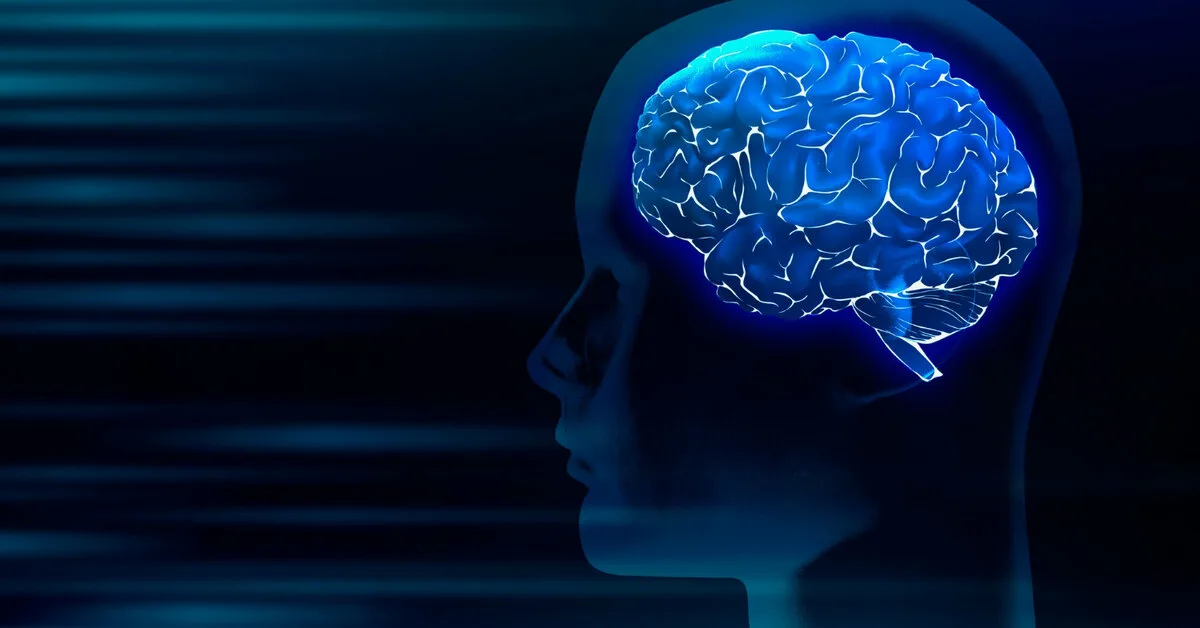 Ihmisen aivot muuttavat suuntaa neljä kertaa elämänsä aikana: tässä ovat niiden viisi tärkeintä piilevää vaihetta