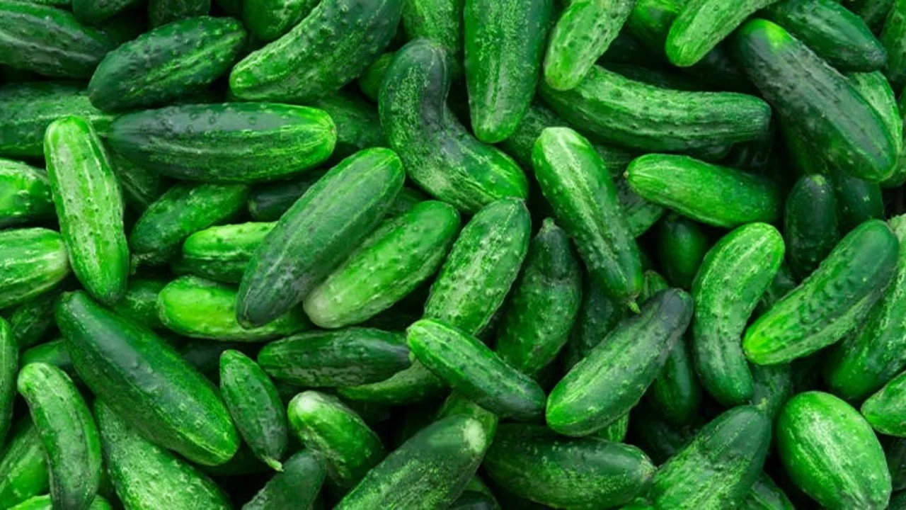 Hyvästi, etanat puutarhassa: vihannes, joka karkottaa ne lopullisesti