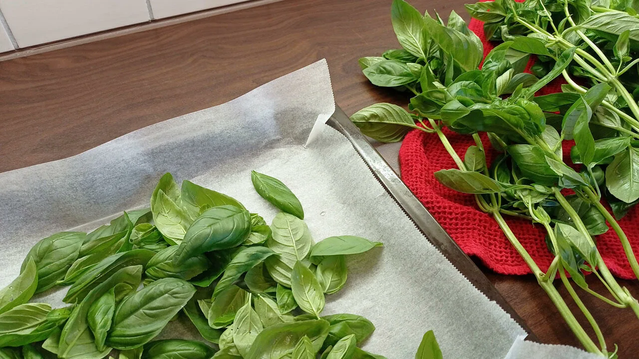 Basilikalehtien ja sitruunankuoren paistaminen: miksi se on suositeltavaa ja mihin se on hyödyllistä.