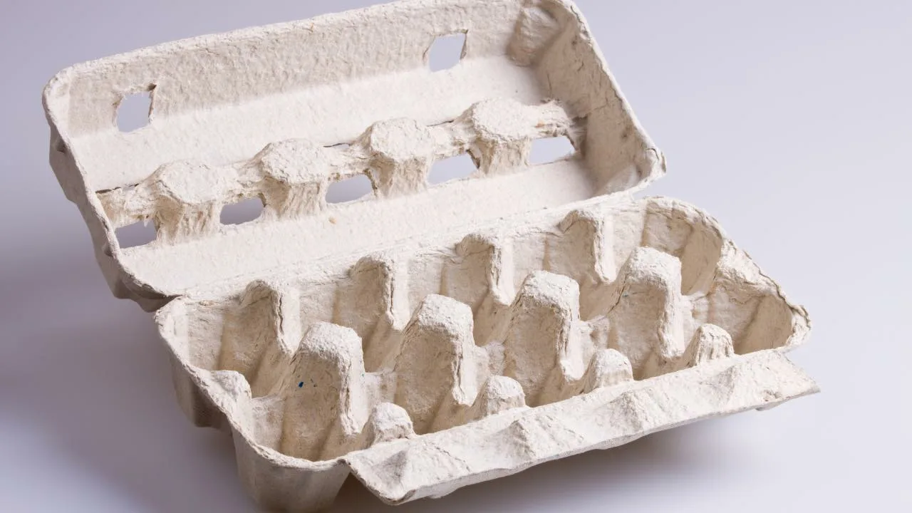 Ei enää tarvitse heittää munakoteloita pois: ne säästävät puutarhureille jopa 50 euroa – ja mahdollistavat kukkapenkkien luomisen ”ilmaiseksi”.