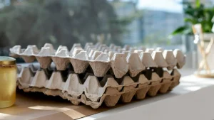 Ei enää tarvitse heittää munakoteloita pois: ne säästävät puutarhureille jopa 50 euroa – ja mahdollistavat kukkapenkkien luomisen ”ilmaiseksi”.