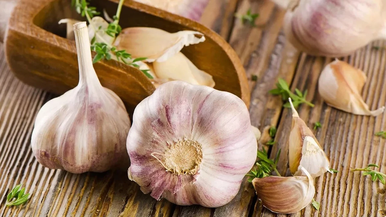 Estää tromboosia. Tämä ainutlaatuinen vihannes alentaa veren kolesterolia ja triglyseridien määrää.