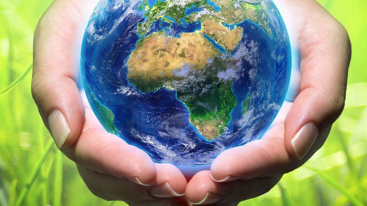 Guinnessin ennätyskirja vahvisti Trufenan ennätyksen 48 tuntia kestäneestä maratonista, joka oli omistettu puiden suojelulle.