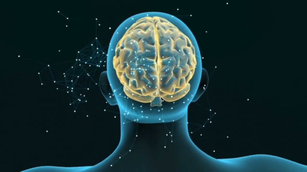 He tutkivat ihmisen aivoja ja ovat löytäneet ”kytkimen”, joka nopeuttaa sekä hyvien että huonojen tapojen muodostumista.