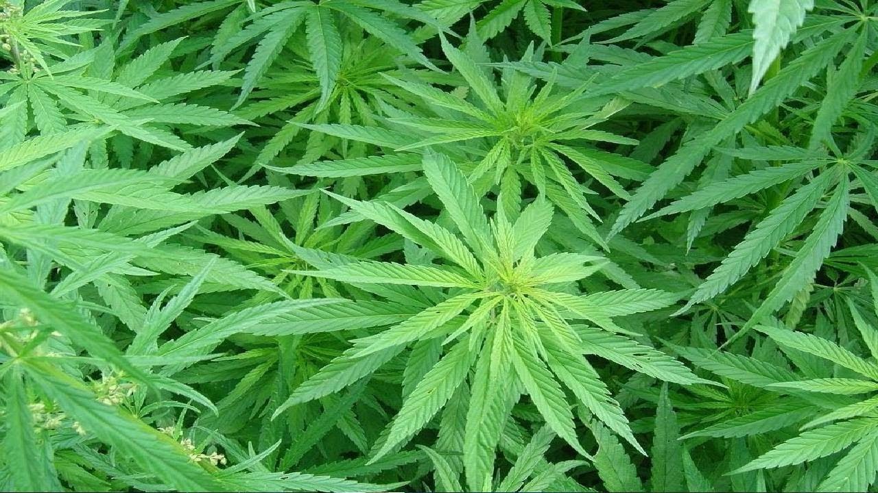 A75-moottoritiellä pysähtyi pakettiauto; paperipyyhkeitä ei ollut tarpeeksi...