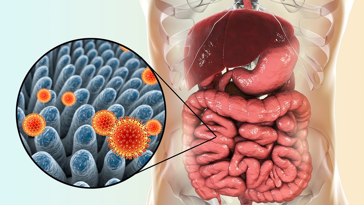 ”Fekaalivirus” on saamassa uutta vauhtia: uusi merkittävä huippu poikkeuksellisen vuoden 2024 jälkeen.