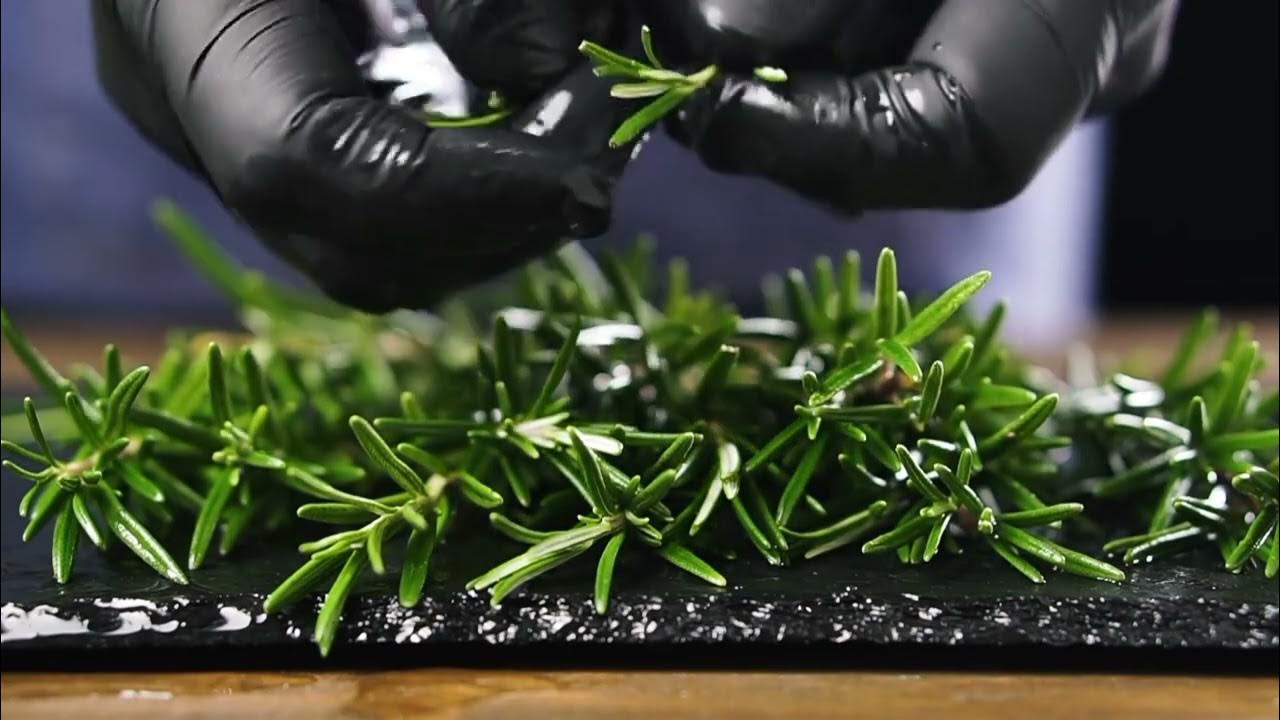 Rosmariini ja puuhiili: mitä hyötyä niiden sekoittamisesta on ja mitkä ovat sen edut?