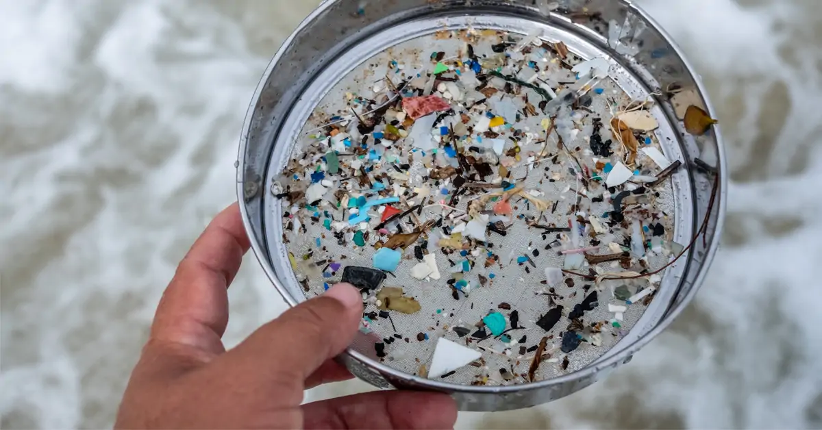 Sardiinin kidusten mallin mukaan luotu pesukoneen suodatin poistaa jopa 99 % mikromuovista.