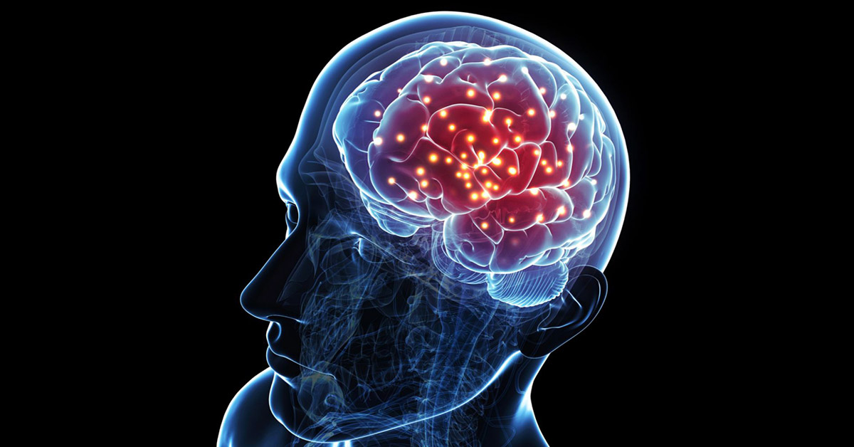 Ihmisen aivot muuttavat suuntaa neljä kertaa elämänsä aikana: tässä ovat niiden viisi tärkeintä piilevää vaihetta