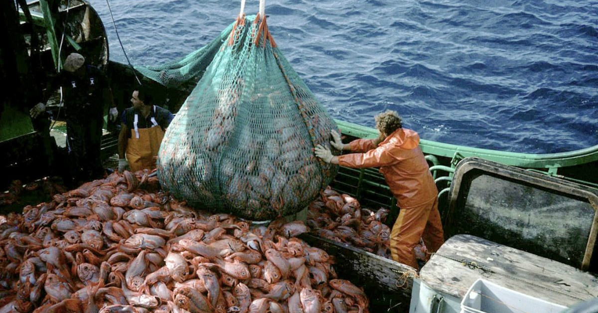San Andrésissa viranomaiset takavarikoivat nicaragualaisen aluksen, jolla oli yli 180 kiloa laittomasti pyydettyä kalaa.