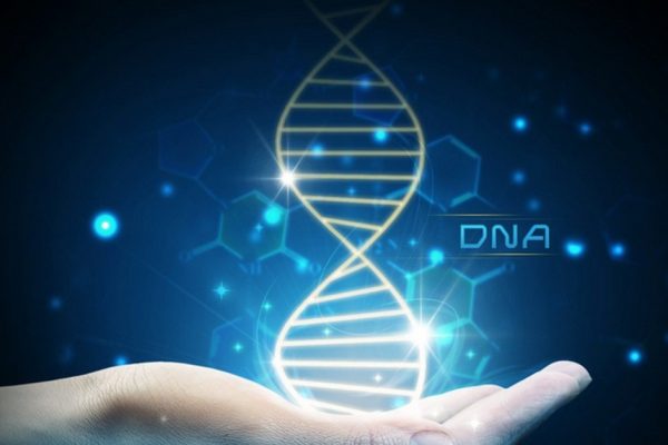 DNA