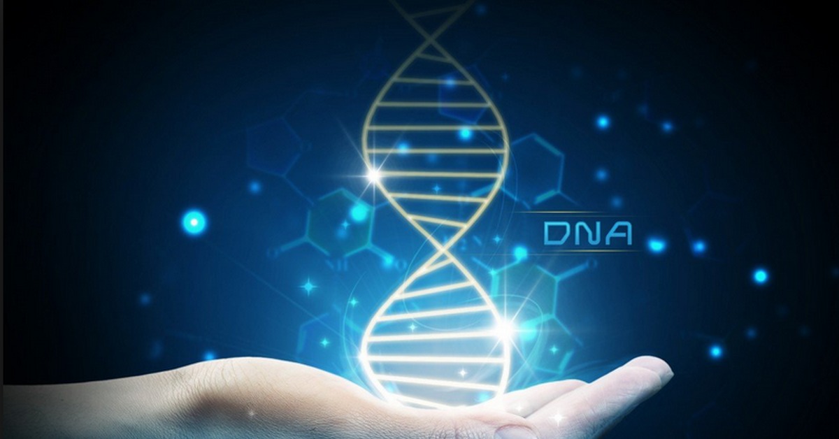 DNA