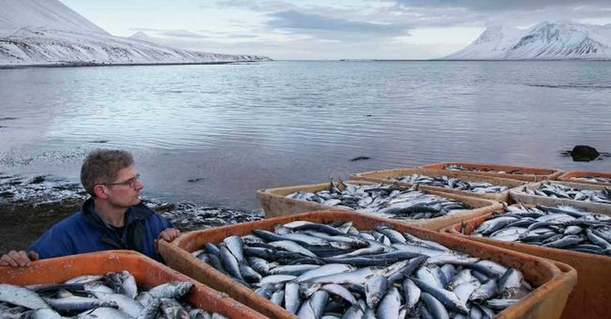 San Andrésissa viranomaiset takavarikoivat nicaragualaisen aluksen, jolla oli yli 180 kiloa laittomasti pyydettyä kalaa.