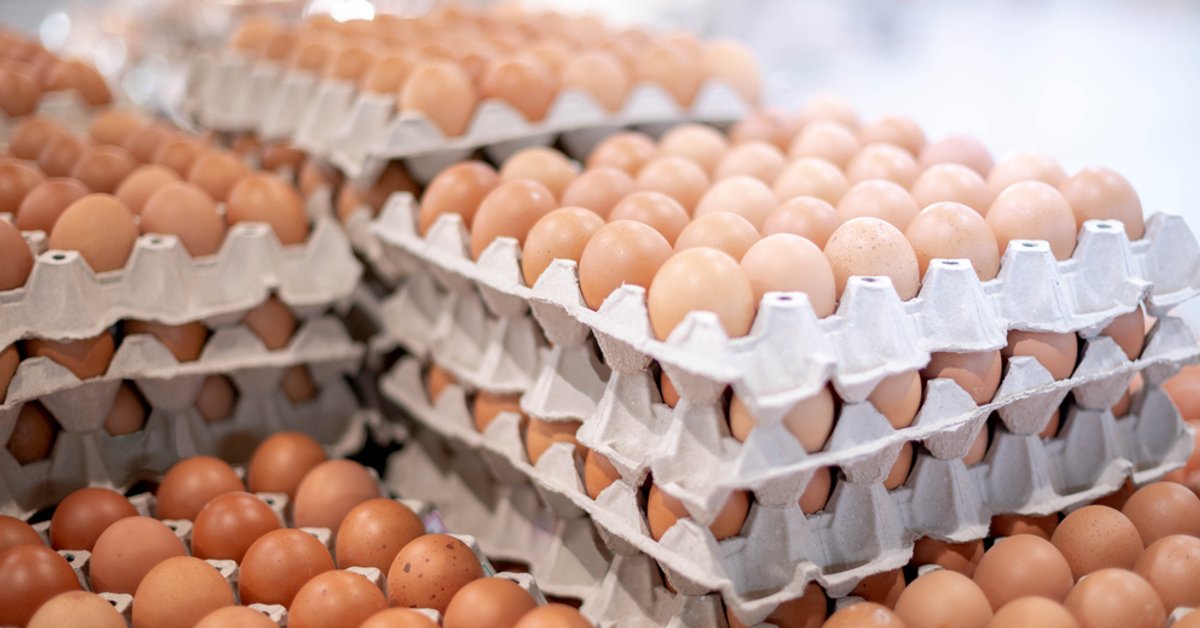 Asiantuntijat testasivat supermarketeista ostettuja munia. He suosittelevat voimakkaasti, ettei tunnettujen supermarkettiketjujen munia käytetä.